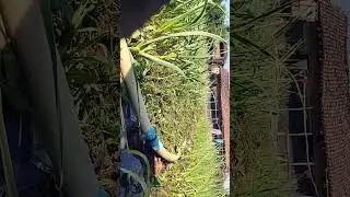 mujhe koi support kyu nhi kar rha please subscribe kar lo......