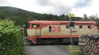 Železniční přejezd Vlárský průsmyk (P8017) - 28.6.2025 / Railroad crossing