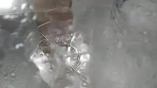 New Roots & Harvest Multi-Purpose steam canner
