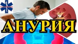 Анурия / Симптомы / Неотложная помощь