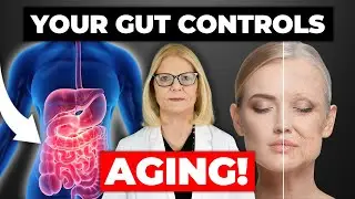 The Gut-Longevity Connection: You can reverse aging | Dr. Joanette
