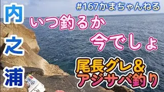 【尾長グレ・アジサバ釣り】いつ釣るか　今でしょ！　鹿児島県内之浦の夜釣り　第167話かまちゃんねる