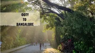 Beautiful Road Journey from Ooty to Bangalore | littlefamily #vlog #roadsafety #tharrox 