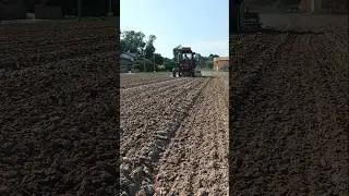 passaggio rompi crosta per formazione di crosta superficiale #farming #fiat #agriculture