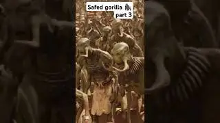 Short video Safed gorilla 🦍 #part 3 #trending#hollywood  #video