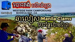 STIR-FRY MANILA CLAMS While Camping for The  FIRST TIME at WESTSIDE PARK in BODEGA BAY CA EP:02(End)