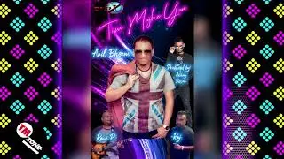 Anil Bheem /BMRZ - Tum Mujhe Yun Bhula Na Paoge [ Cover Version ] 2k20