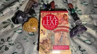 Tea Leaf Fortune Cards | Unboxing & Several Fast Reads on Relationships ❤️💋&hearts;️🌹❣️