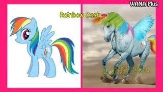 p&ocirc;neis de my litte ponei vers&atilde;o real lif