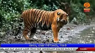 ರಾಜ್ಯದಲ್ಲಿ ಹುಲಿ ಗಣತಿ ಆರಂಭ | ರಾಜ್ಯಕ್ಕೆ ದ್ವಿತೀಯ ಸ್ಥಾನ