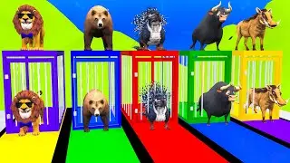Long Slide Game with Cow Elephant Gorilla Hippopotamus Tiger 3d Animal Game Funny 3d Animals
