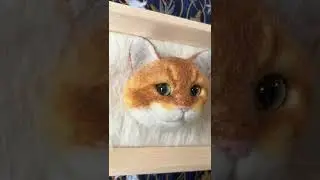 DIY felt cat toy, let the moments last forever