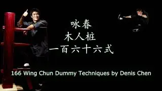 166 Wing Chun Dummy Techniques