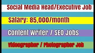 Social Media Head Executive Jobs: SEO Job Delhi | Content Writer, Videographer Delhi NCR Latest Jobs