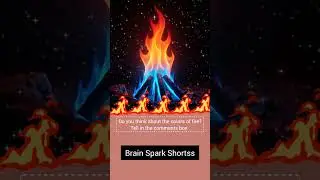 Why Does Fire Have So Many Colors? | Fire Science | #BrainSparkShortss