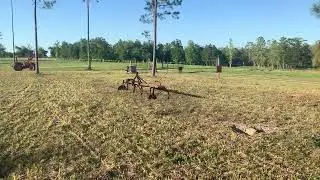 The Lazy Acres Family Farm Moving the Cows on a Beautiful Sunday Afternoon