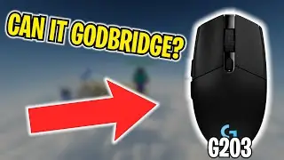 Can You GodBridge With The g203?