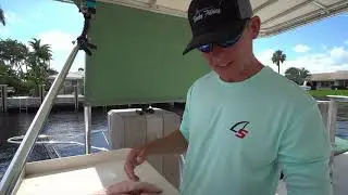 Catch Clean Cook | HIGHLY Prized Fish CAPTURED | Bridge Fishing for Permit