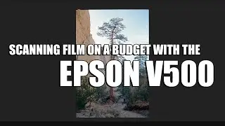 Scanning Color Negative Film on a Budget with the Epson V500