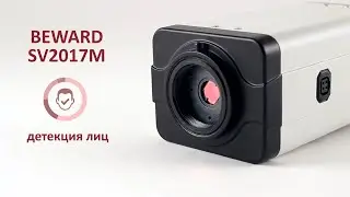 Обзор BEWARD SV2017M, 2 Мп, Sony Starvis, детекция лиц, автоматическая подстройка фокусировки, 1080p