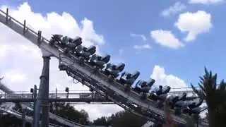 SeaWorld / New Sea Lion Show / Orca Encounter / Penguin Trek Update
