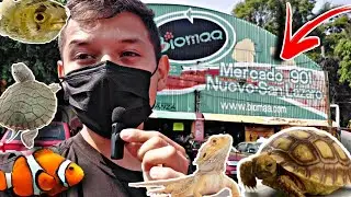 Me Regalaron más animales en el mercado Mixiuhca! || así fue el Evento.