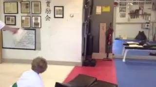jack cuda dive roll kick break dojo