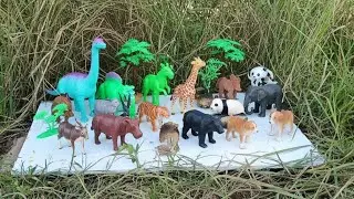 Mud Friends Full Episode 💦 Animals Take a Mud Bath  Fun Animal Learning for Kids