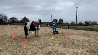 Marie Anquetil et Enjoy - Equifeel virtuel Caval Go - Épreuve montée 1 