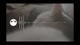 Instrumental music , best collect Ambient chill music , background music , work time music