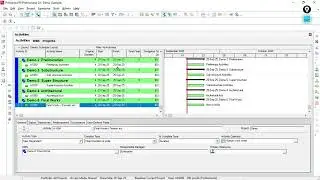 Primavera P6 S curve Preparation Tips and Tricks
