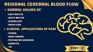🧠  