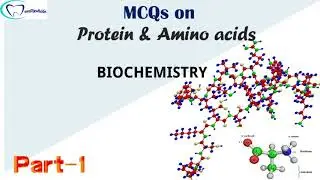 MCQs on  Protein and aminoacids (Part 1) || Biochemistry || Dentophile