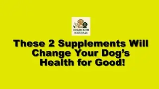 These 2 Supplements Will Change Your Dog&rsquo;s Health for Good!