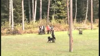 Bergenhovs Dixi Appell Sp&aring;r/Budf&ouml;ring/Lydnad 120520