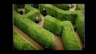 Ocean Finance 'Maze' Advert On Channel 5 UK TV