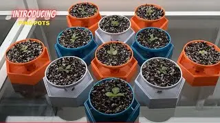 Introducing my custom Ping Pots