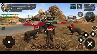The Wolf Online Simulator: Dark Forest