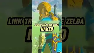 I Can&rsquo;t Believe Link Did THIS to Zelda