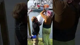 The impressive catch out of Neah Bay Washington. Halibut, lingcod, bottom fish! #bestfishing