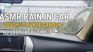 Rainy Night Sleeping in My Car - 7000m&sup2; Private Garden Ambience (No Loop)