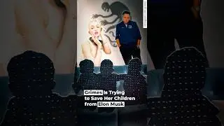 Grimes Is Trying to Save Her Children from Elon Musk