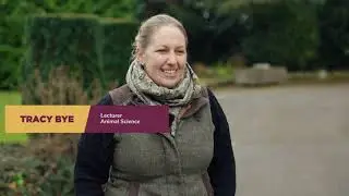 FdSc Equine Management