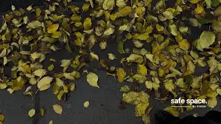Самоконтроль в вашем (само)осознании, коллективное чтение, проверка энергии; Счастливого Рождеств...