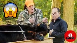 The Bear Isn't Dead!!! | Just For Laughs Gags