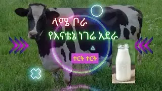 Amharic Teret Teret ላሜ ቦራ  የእናቴኔ ነገሬ አደራ #ተርትተርት  #LameBora @talewg @barsisat @@CoComelon