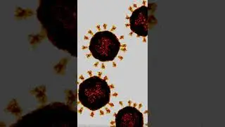 Coronavirus under microscope