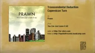 Prawn - Transcendental Deduction Copernican Turn