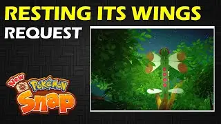 Resting its Wings: Resting Yanmega Request | New Pokemon Snap Guide & Walkthrough