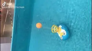 💦 Fun Penguin Water Toy | Floating Ping Pong Ball